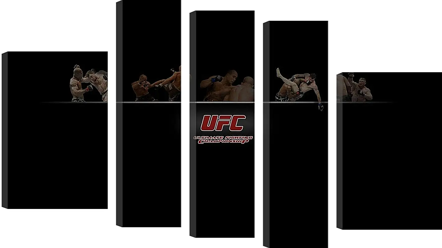 Модульная картина - UFC.