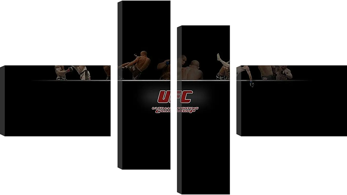 Модульная картина - UFC.