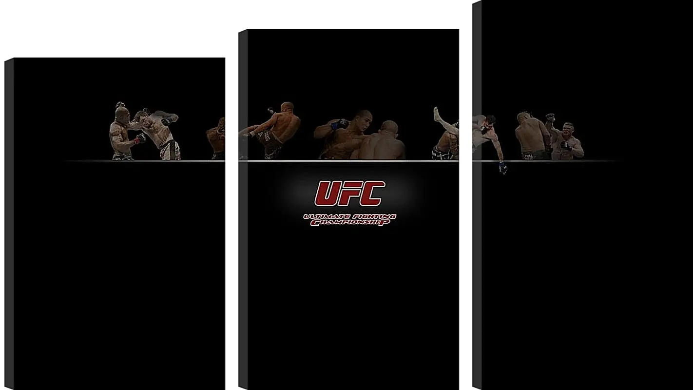 Модульная картина - UFC.