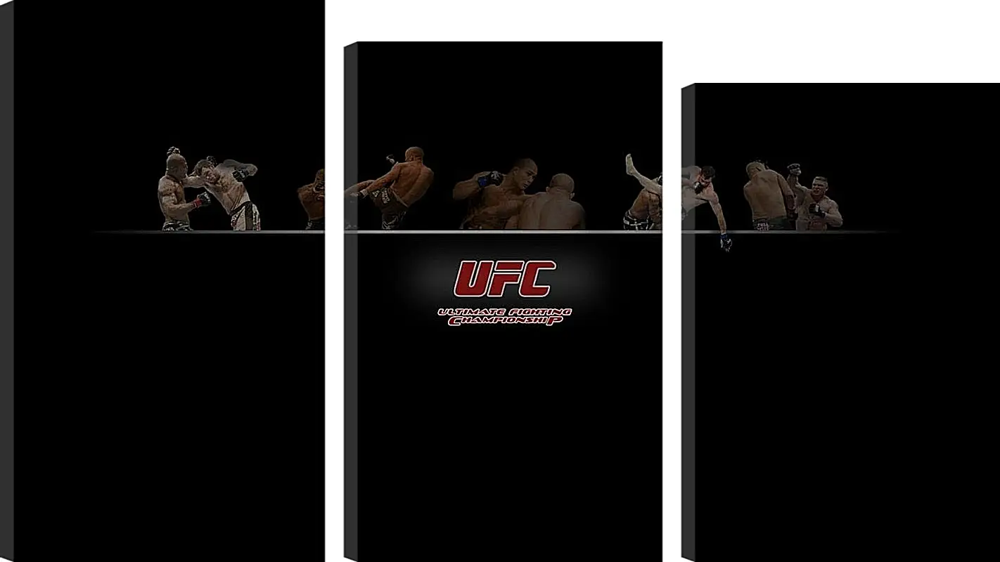 Модульная картина - UFC.