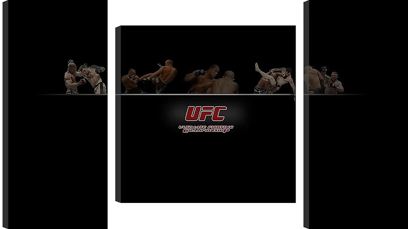 Модульная картина - UFC.