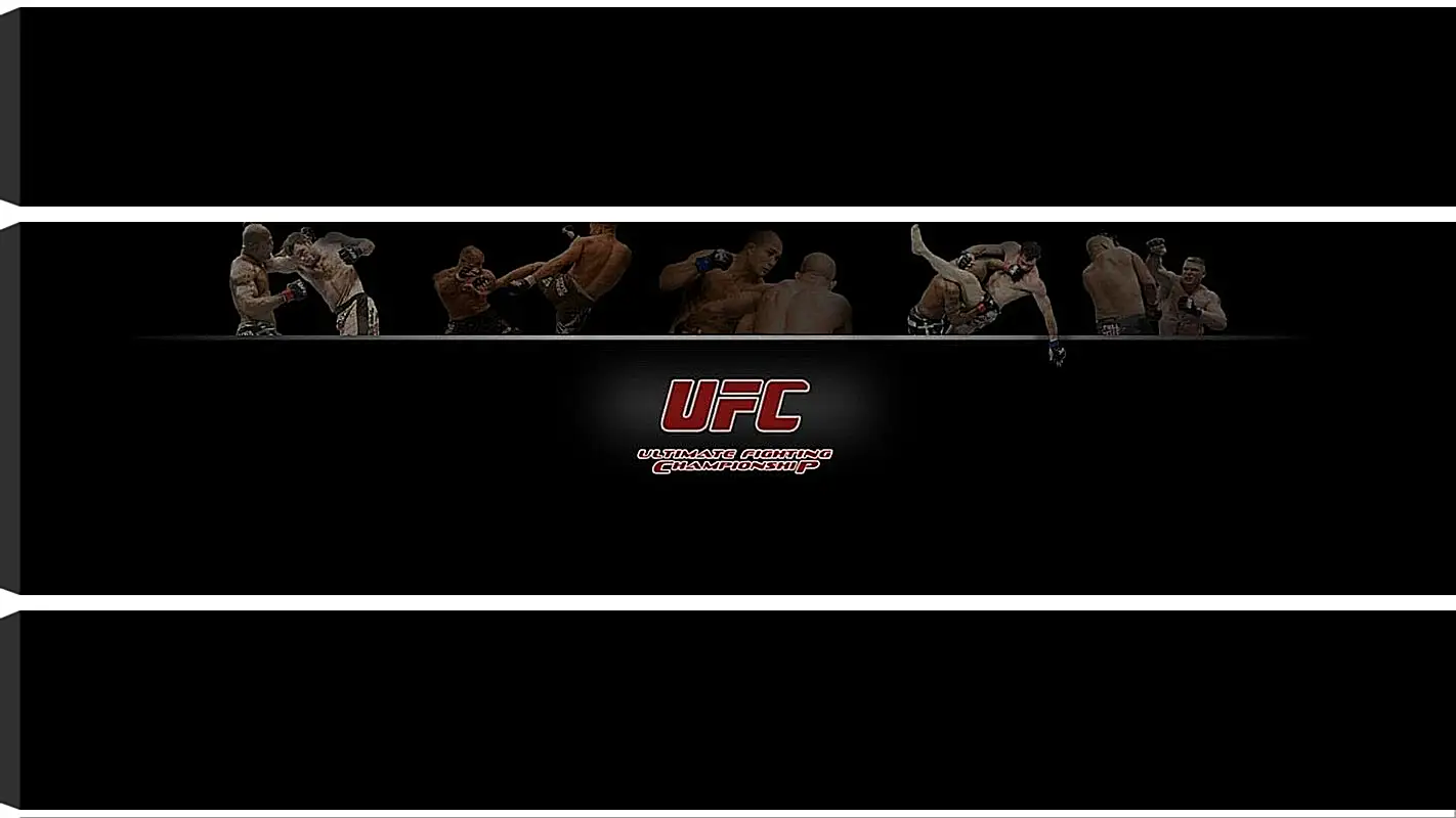 Модульная картина - UFC.