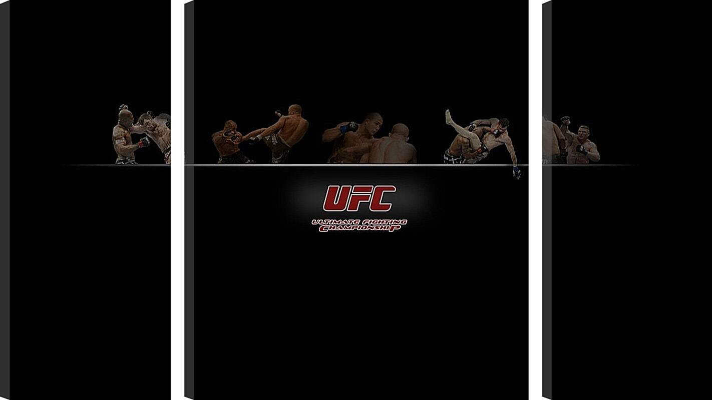 Модульная картина - UFC.