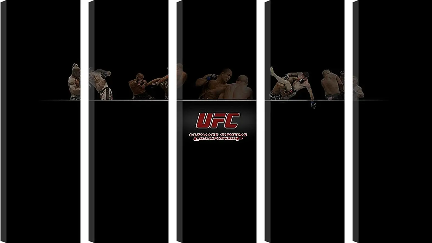 Модульная картина - UFC.