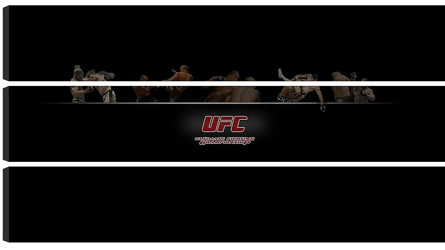 Модульная картина - UFC.