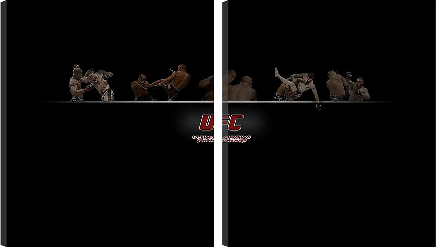 Модульная картина - UFC.