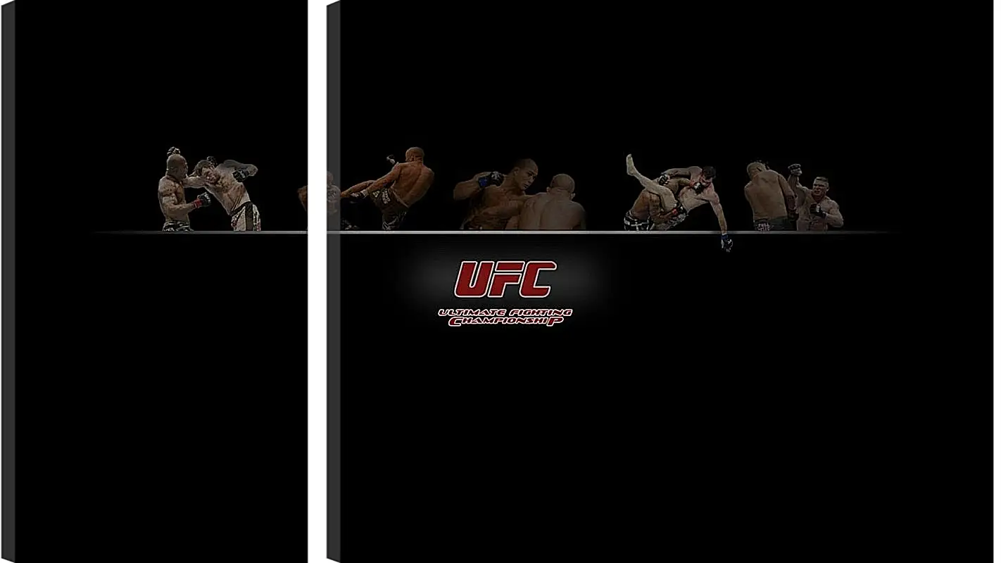 Модульная картина - UFC.