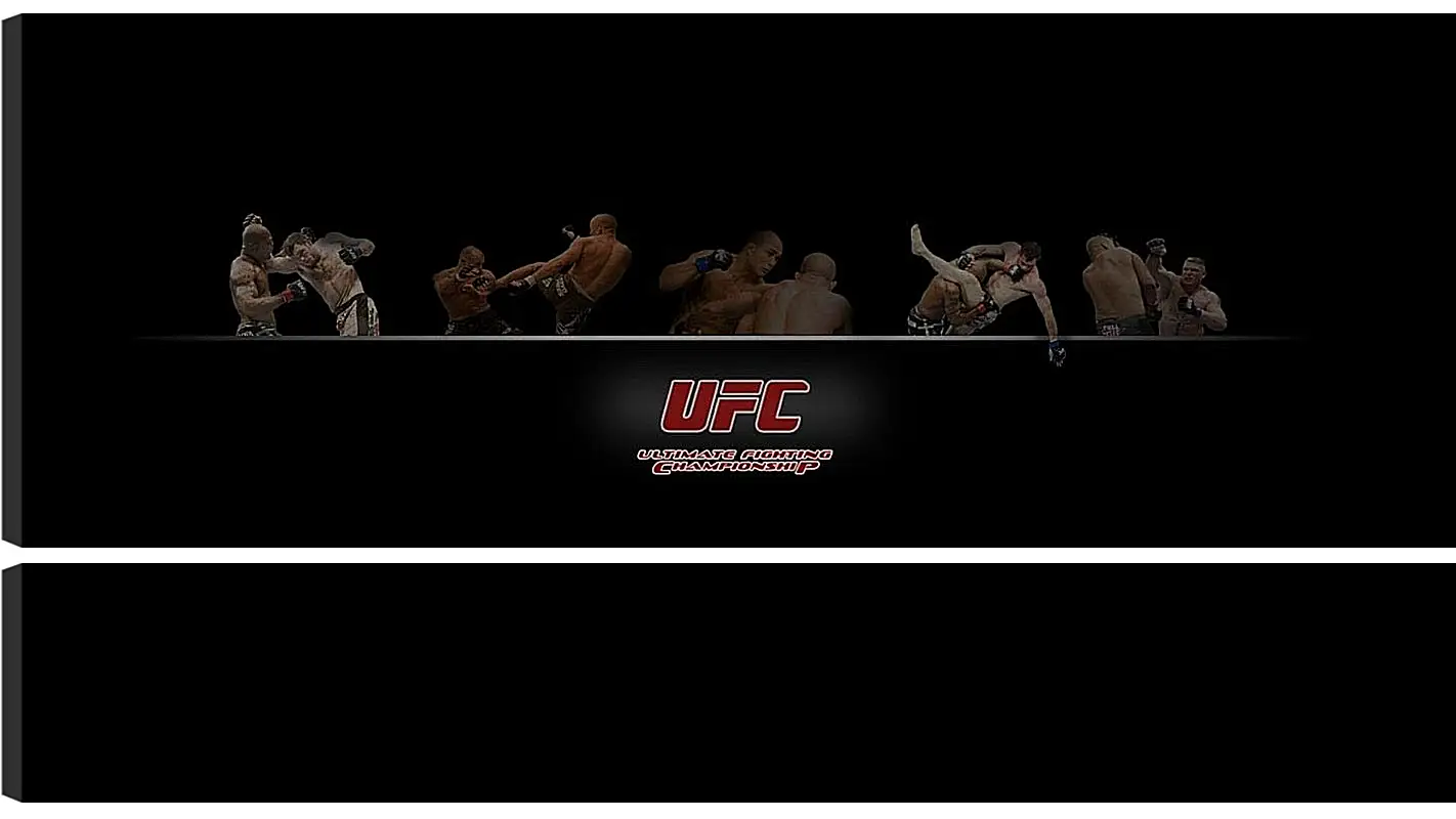 Модульная картина - UFC.