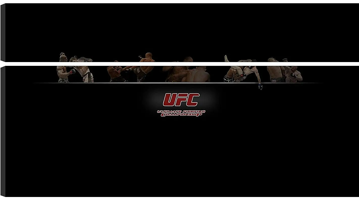 Модульная картина - UFC.