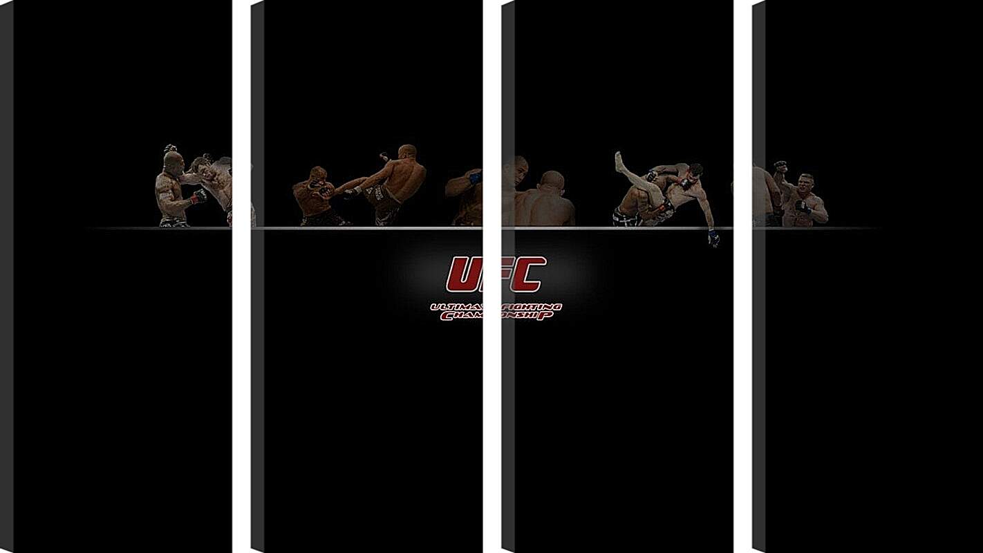 Модульная картина - UFC.