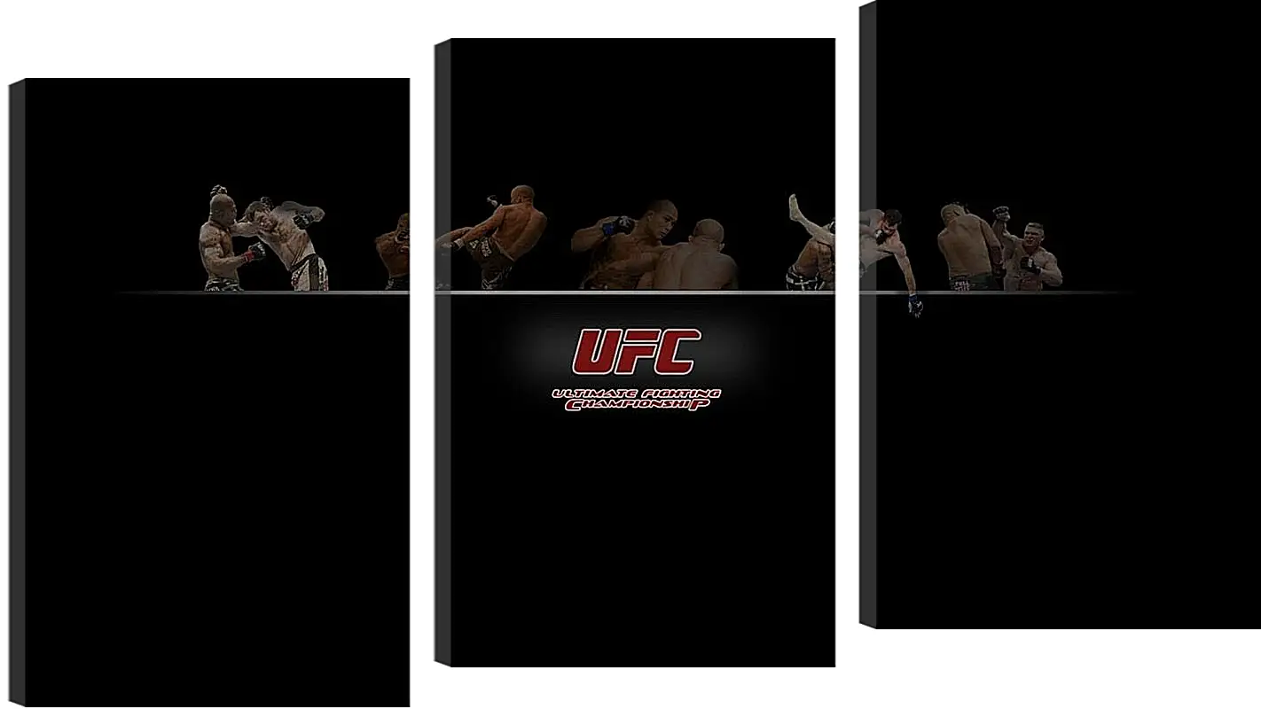 Модульная картина - UFC.