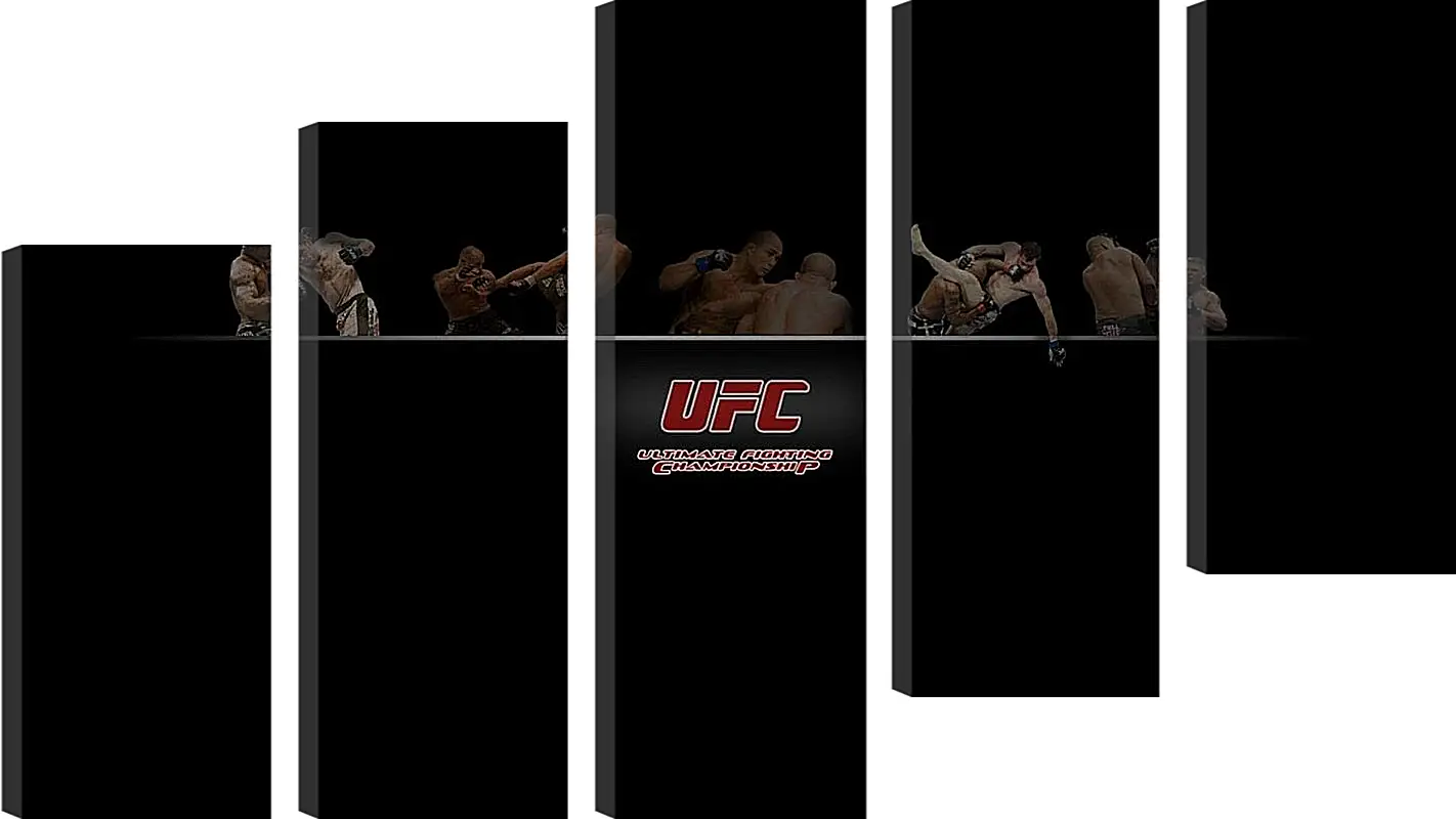 Модульная картина - UFC.