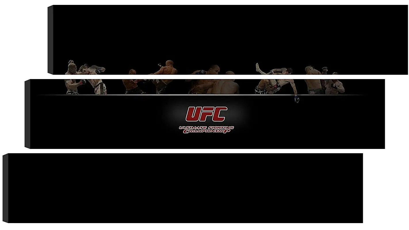 Модульная картина - UFC.