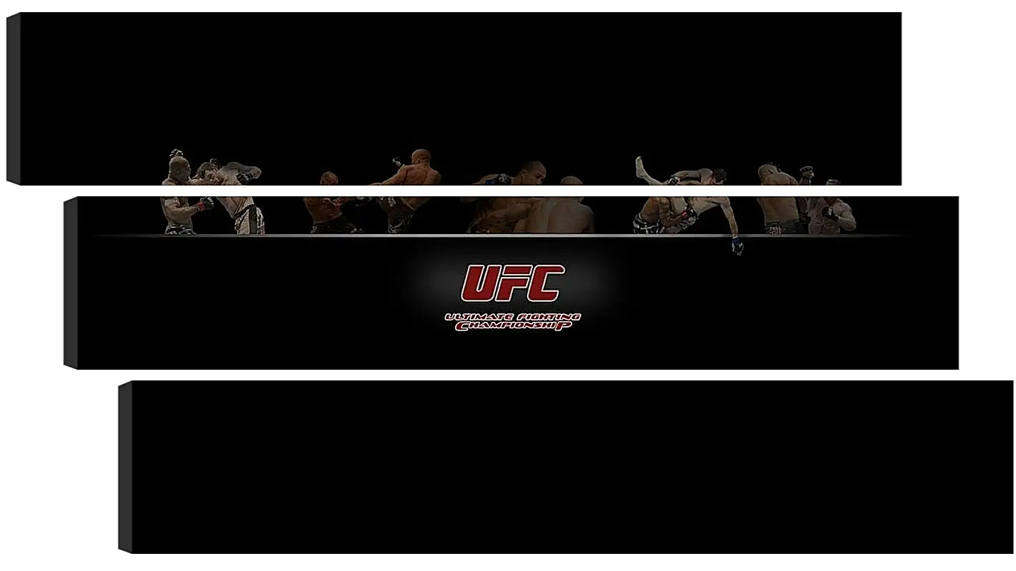 Модульная картина - UFC.