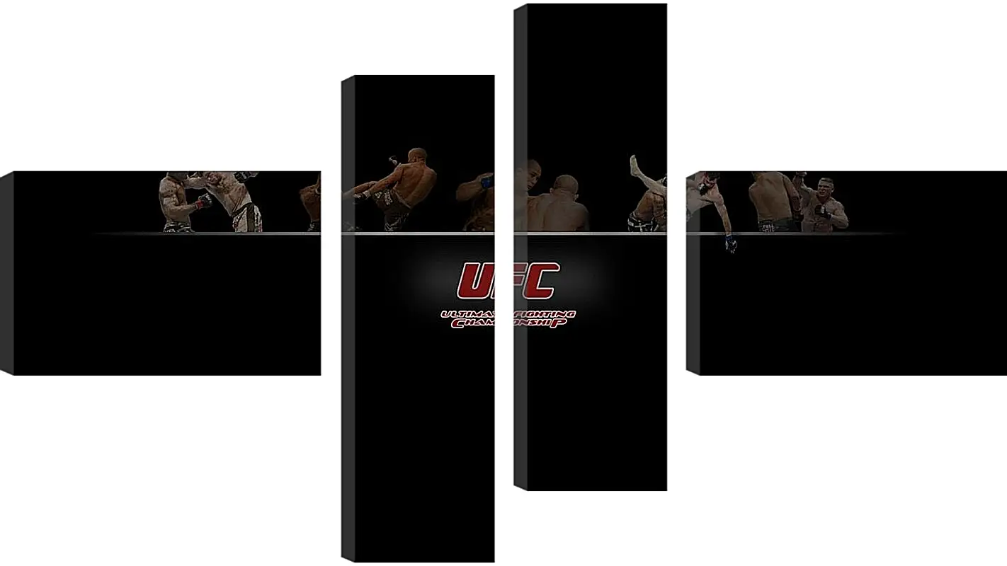 Модульная картина - UFC.