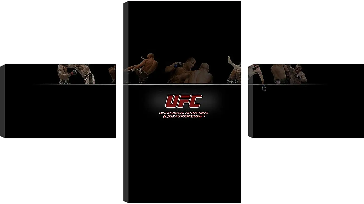 Модульная картина - UFC.