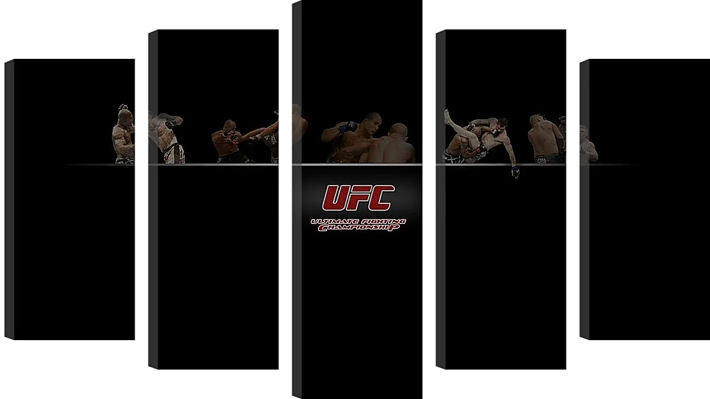 Модульная картина - UFC.