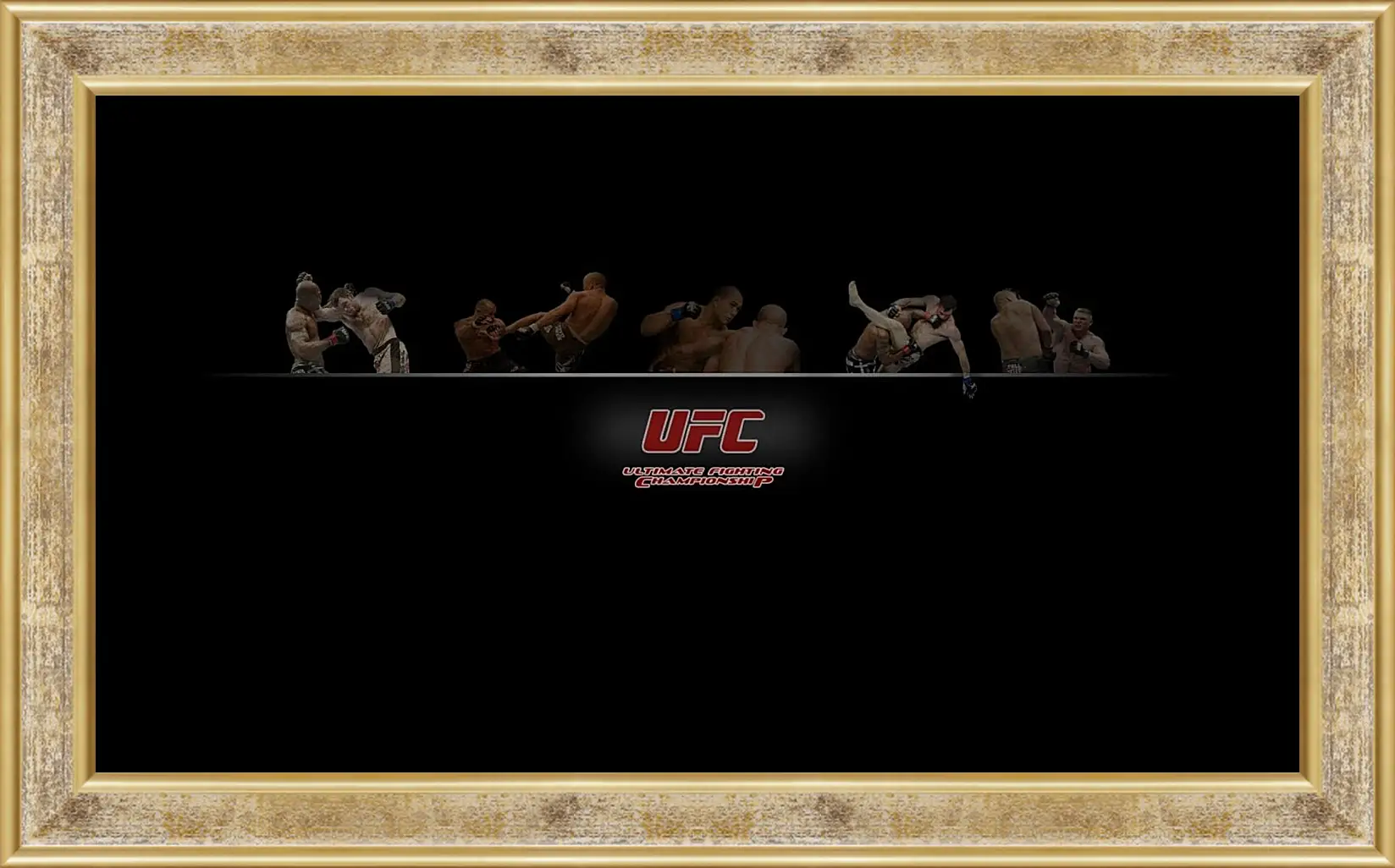 Картина в раме - UFC.