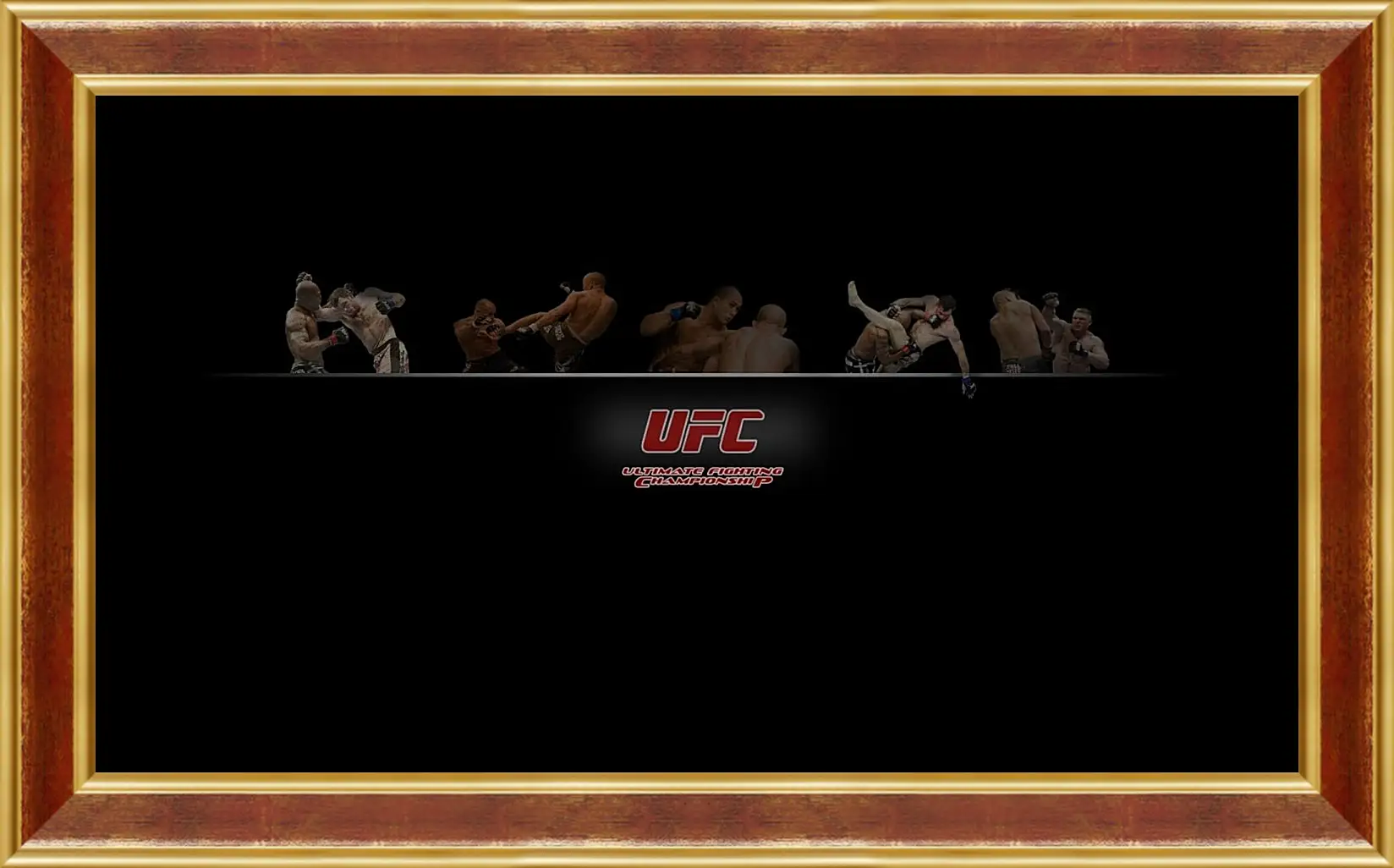 Картина в раме - UFC.