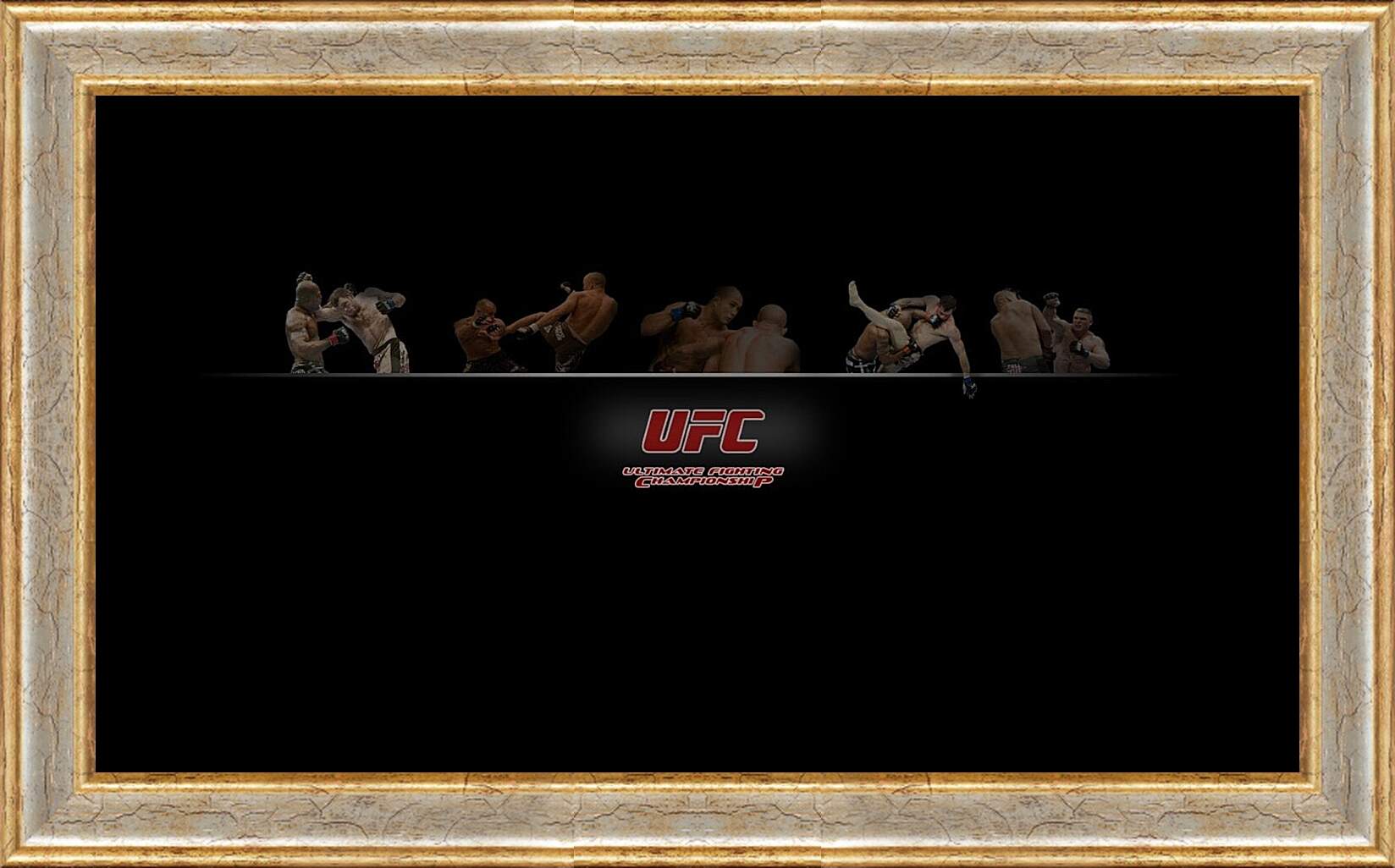 Картина в раме - UFC.