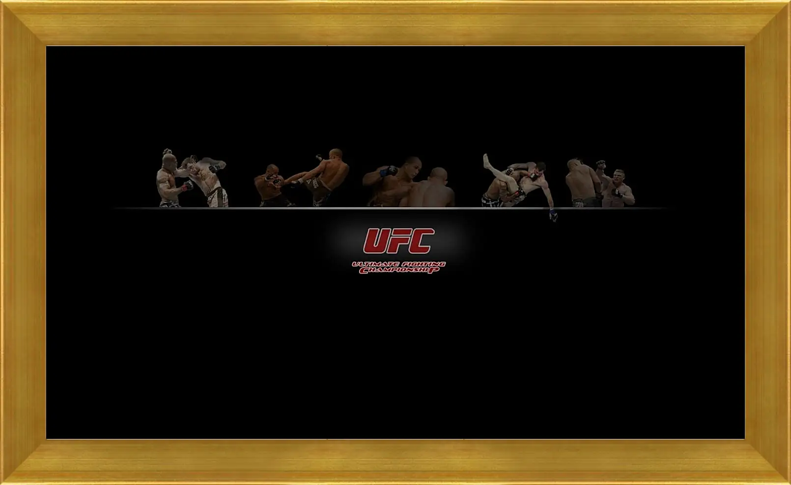 Картина в раме - UFC.