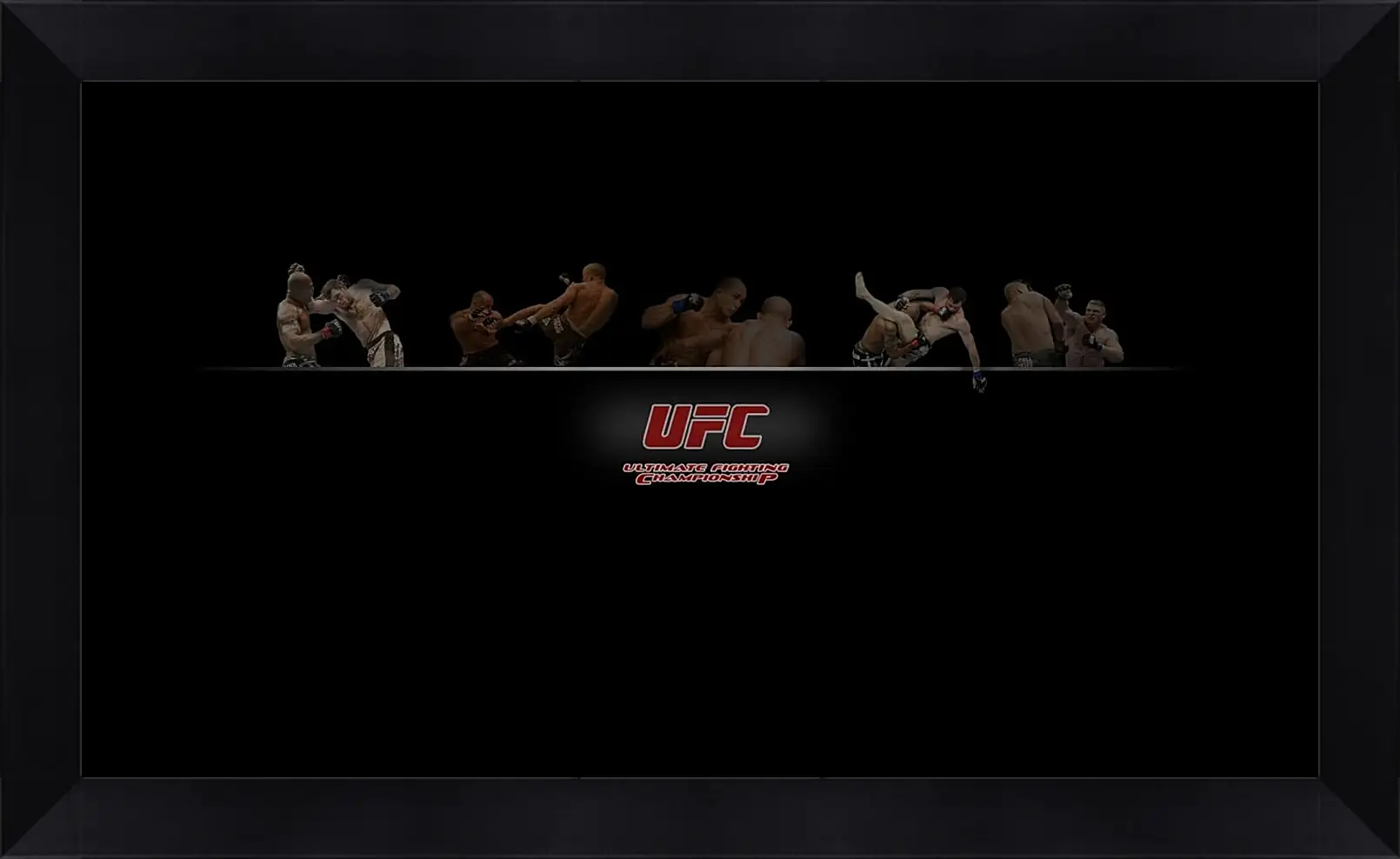 Картина в раме - UFC.