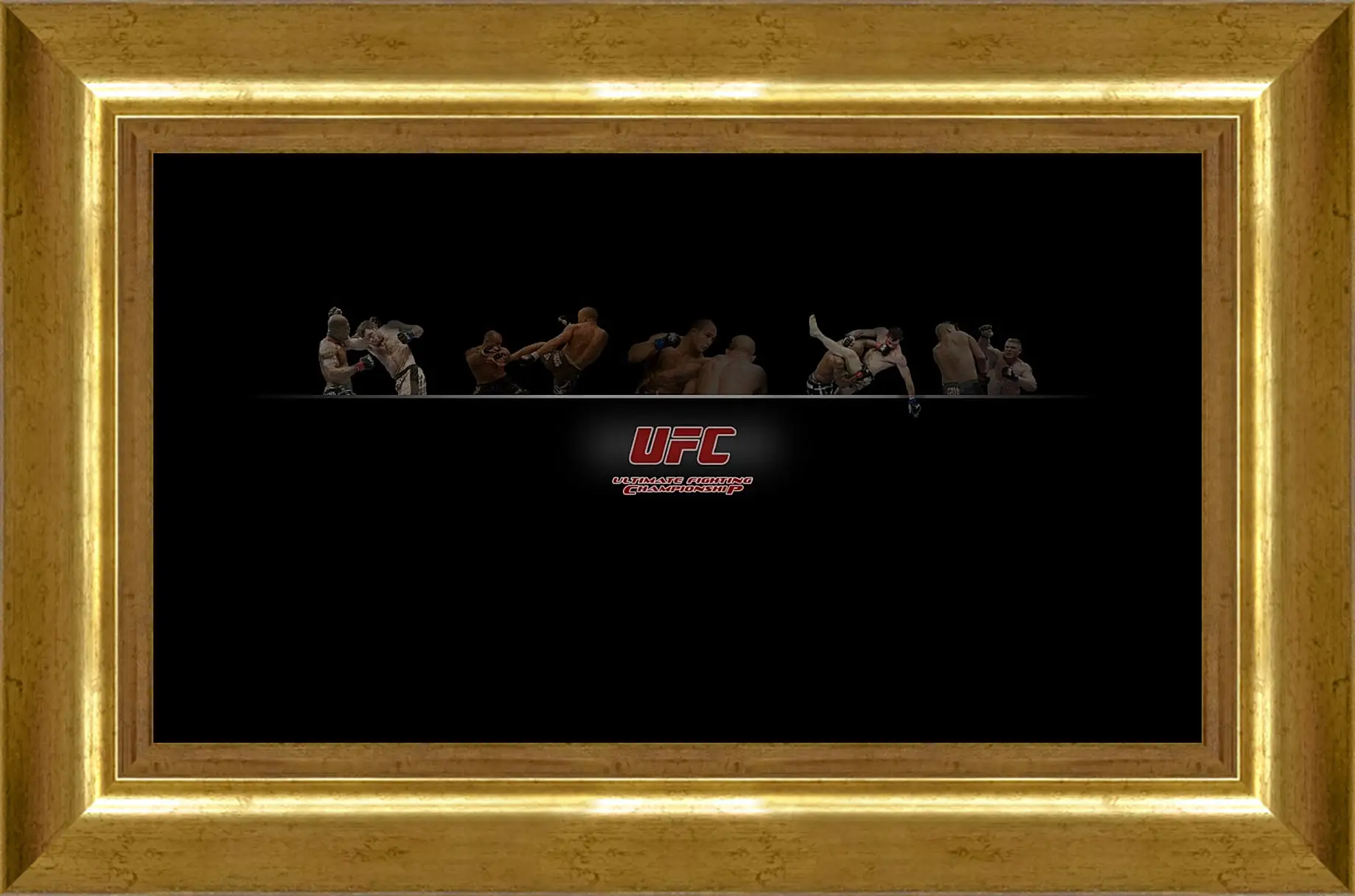 Картина в раме - UFC.