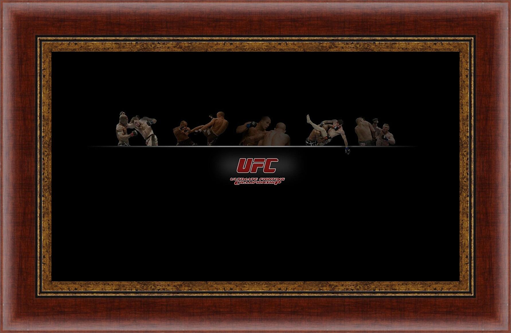 Картина в раме - UFC.
