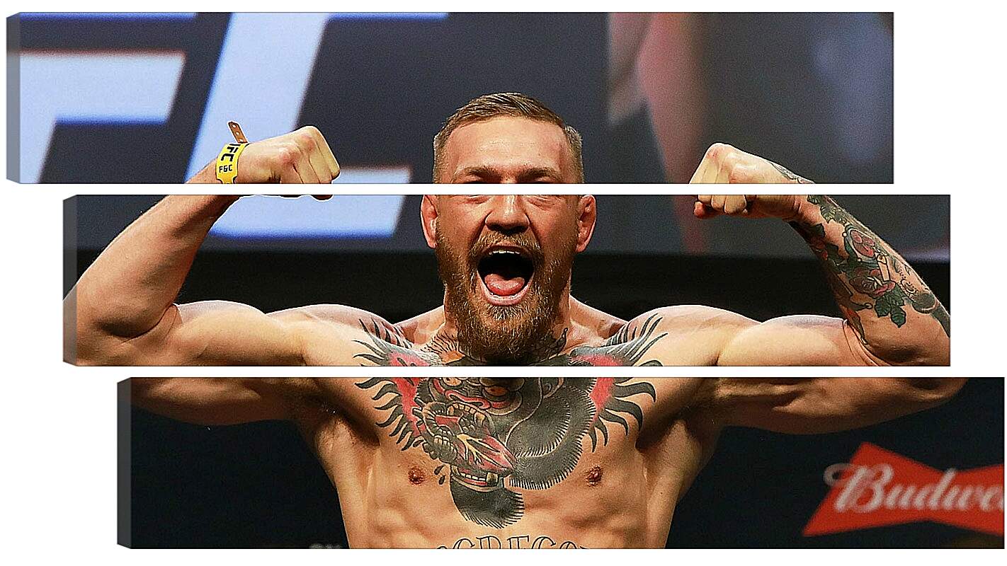 Модульная картина - UFC. MMA. Конор МакГрегор демонстрирует мышцы.