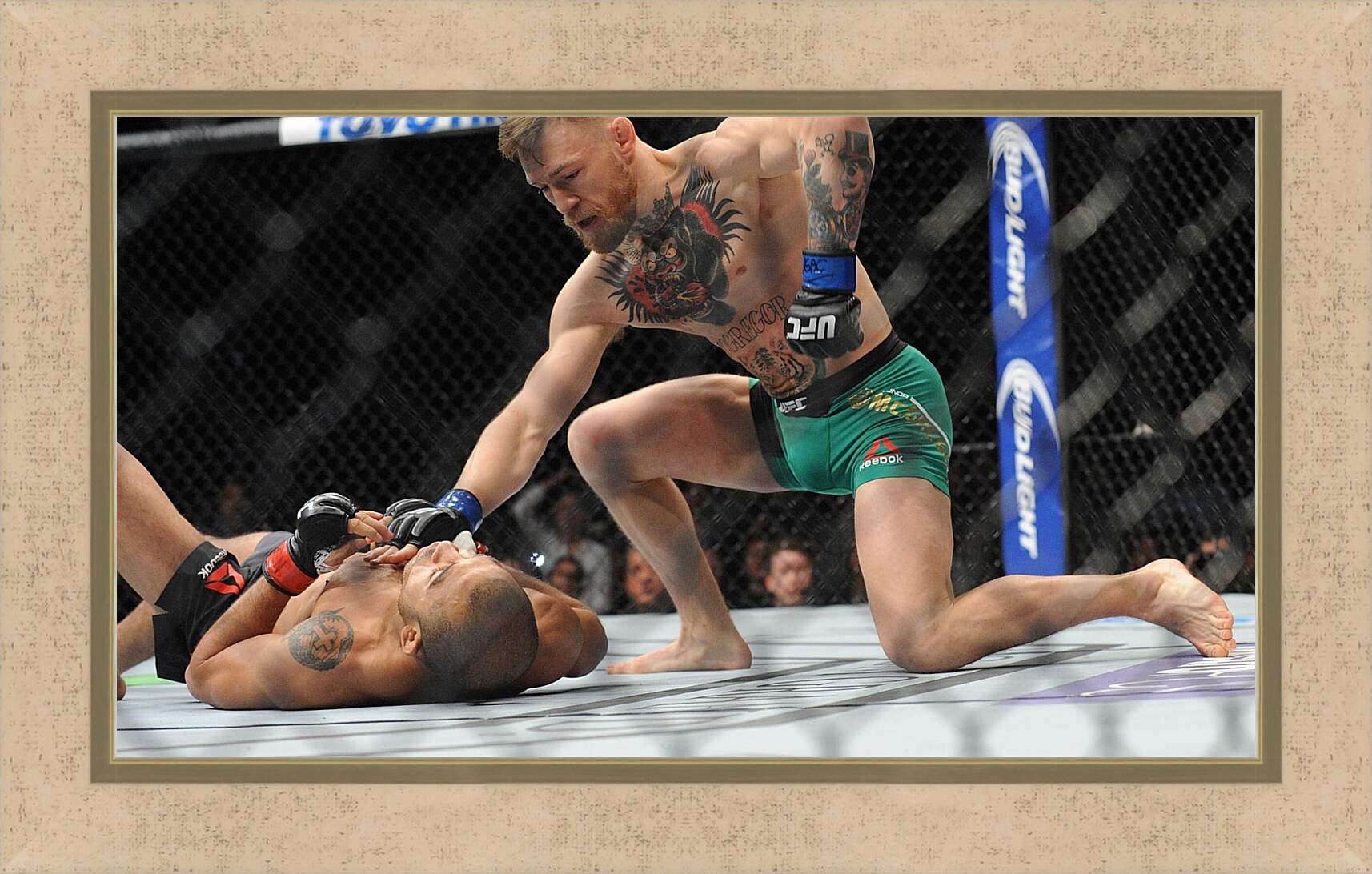 Картина в раме - UFC. MMA. Конор МакГрегор в бою.