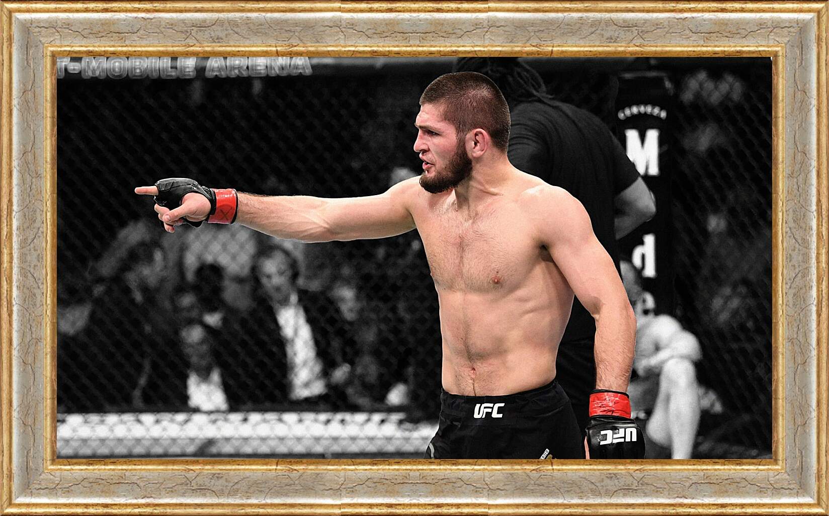 Картина в раме - UFC. MMA. Хабиб Нурмагомедов.