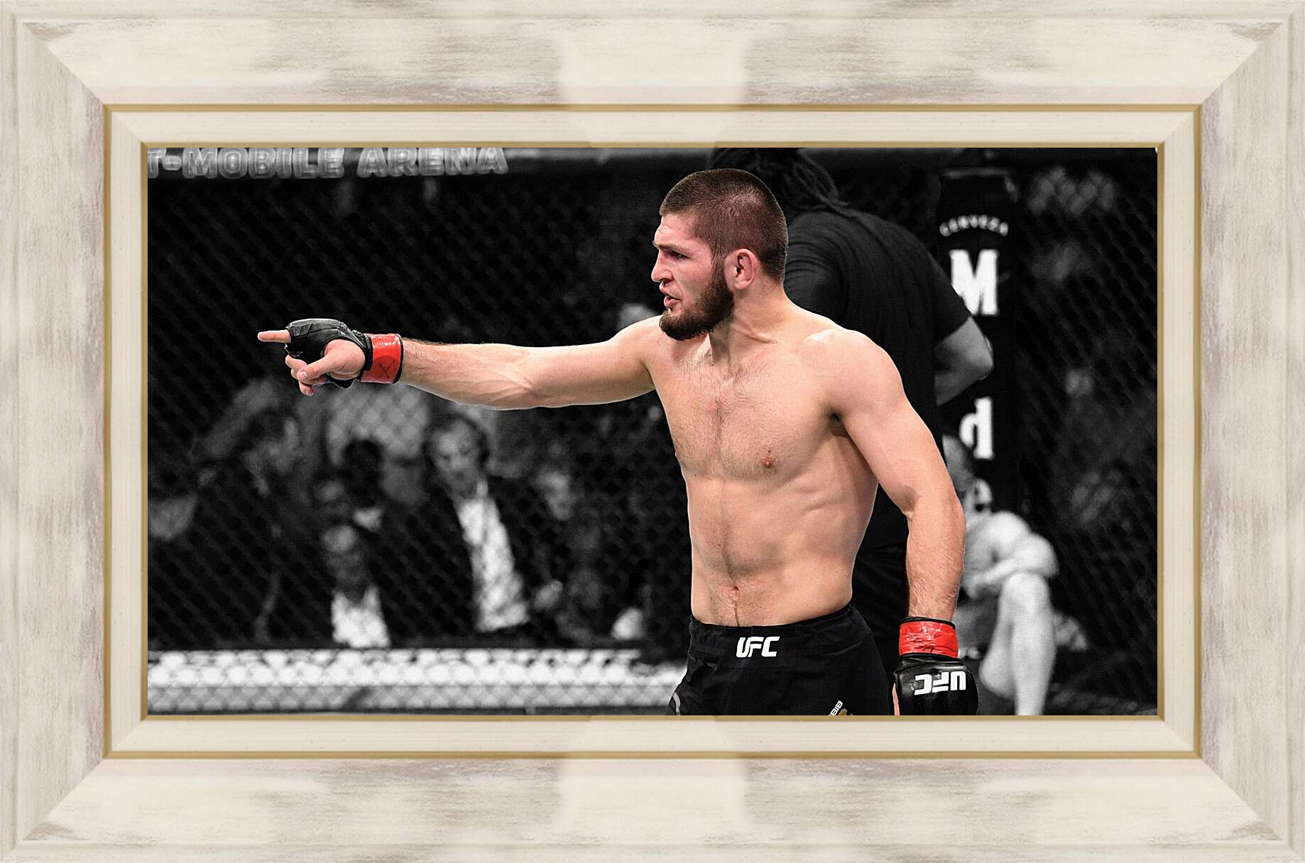 Картина в раме - UFC. MMA. Хабиб Нурмагомедов.