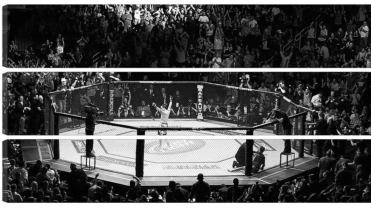 Модульная картина - UFC. MMA. В центре восьмиугольника.