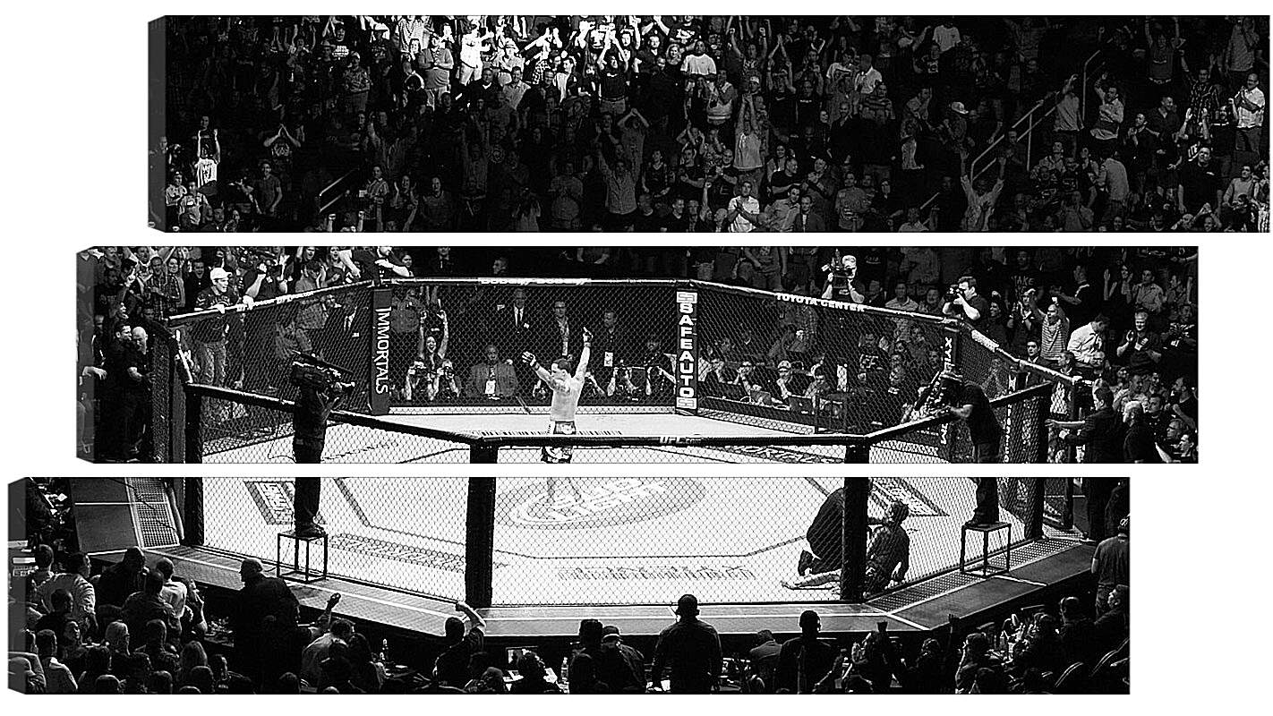 Модульная картина - UFC. MMA. В центре восьмиугольника.