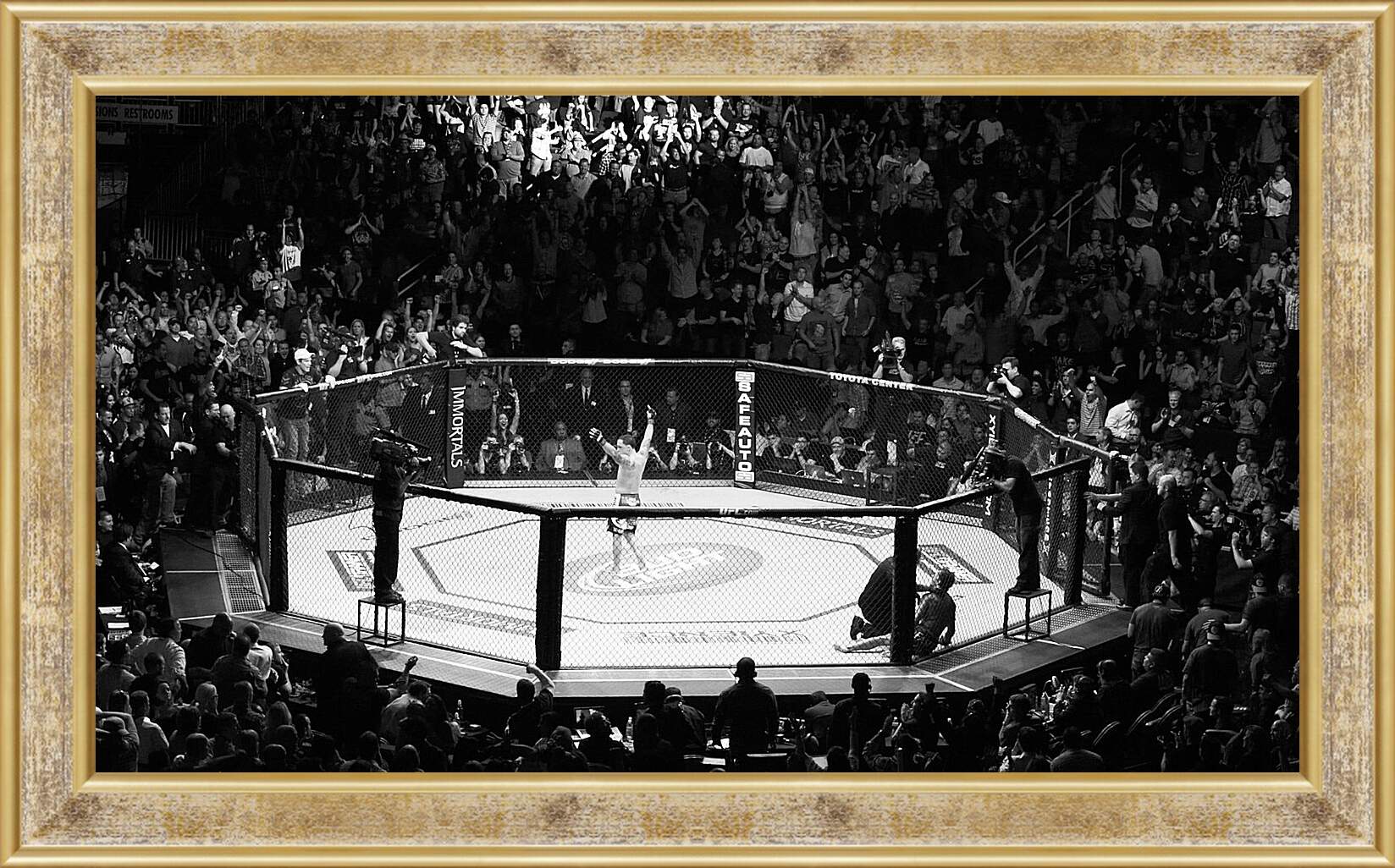 Картина в раме - UFC. MMA. В центре восьмиугольника.