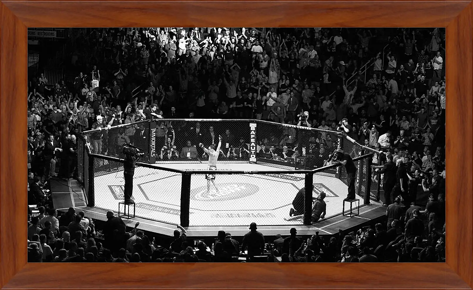 Картина в раме - UFC. MMA. В центре восьмиугольника.