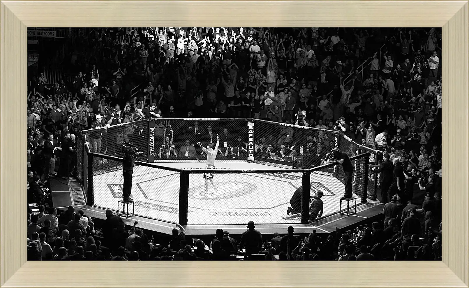 Картина в раме - UFC. MMA. В центре восьмиугольника.