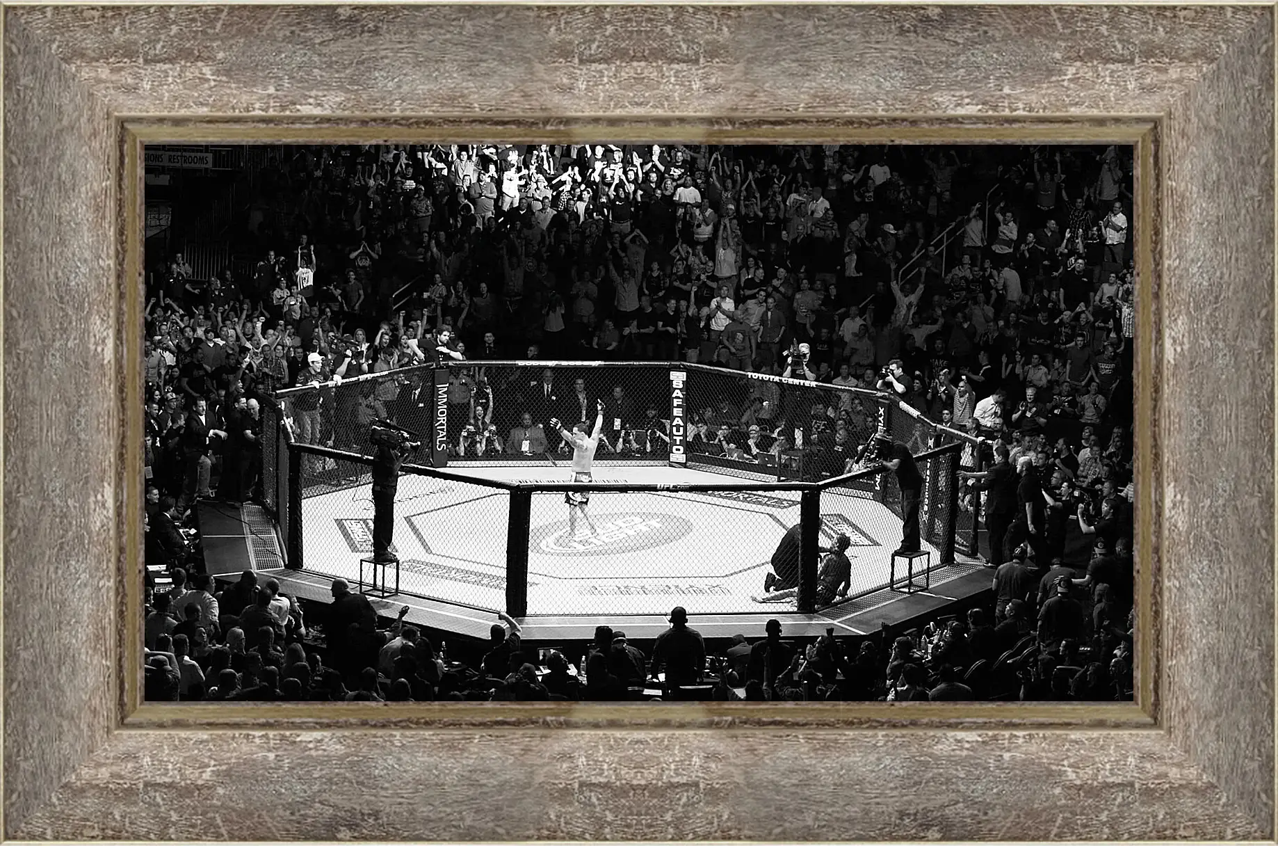 Картина в раме - UFC. MMA. В центре восьмиугольника.