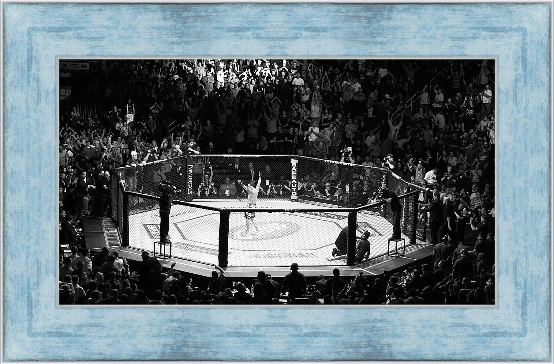 Картина в раме - UFC. MMA. В центре восьмиугольника.