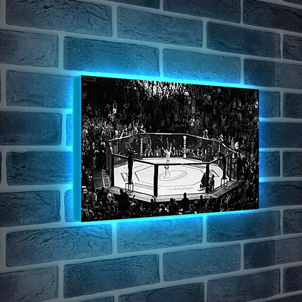 Лайтбокс световая панель - UFC. MMA. В центре восьмиугольника.