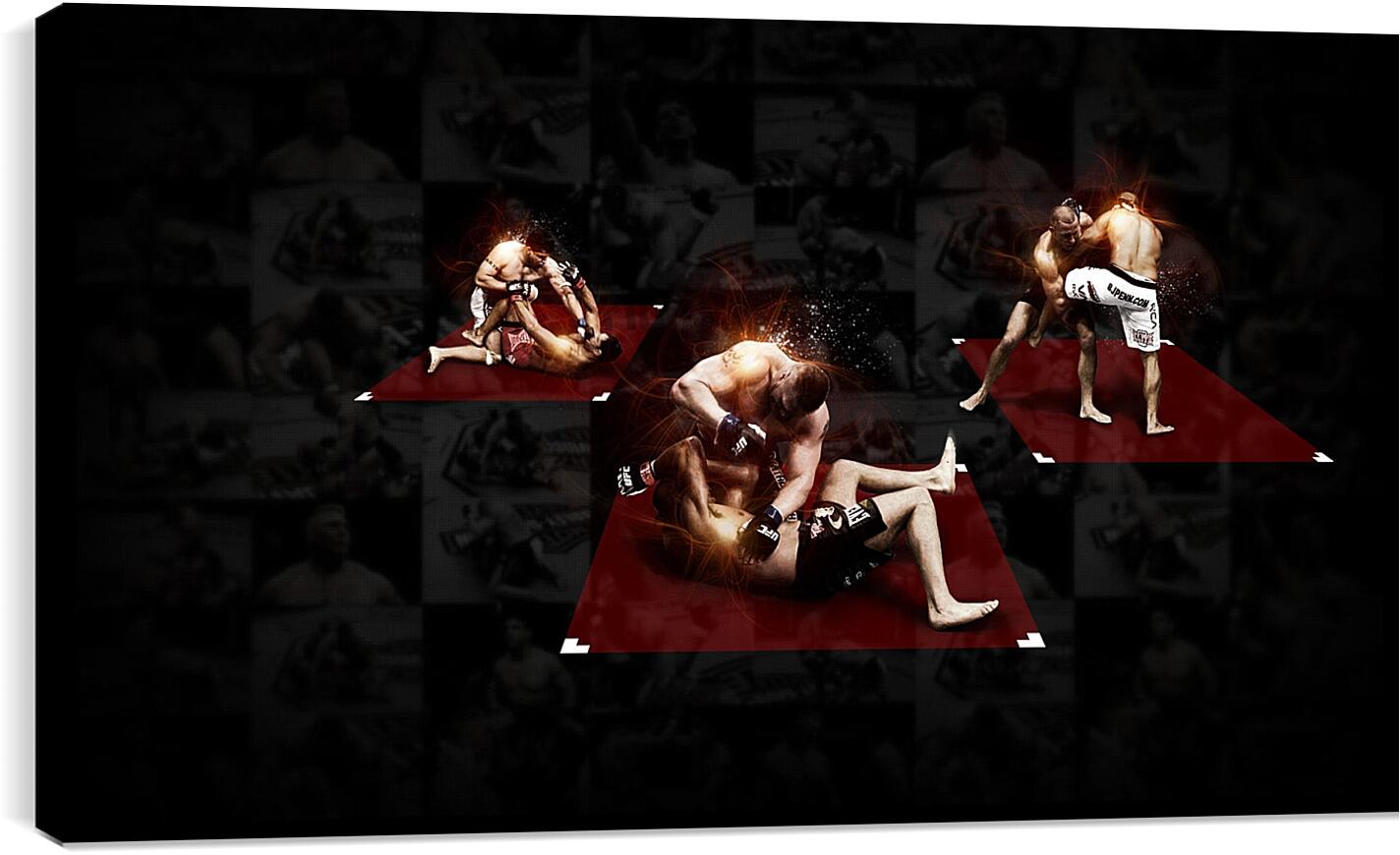 Постер и плакат - UFC. MMA. Приёмы.