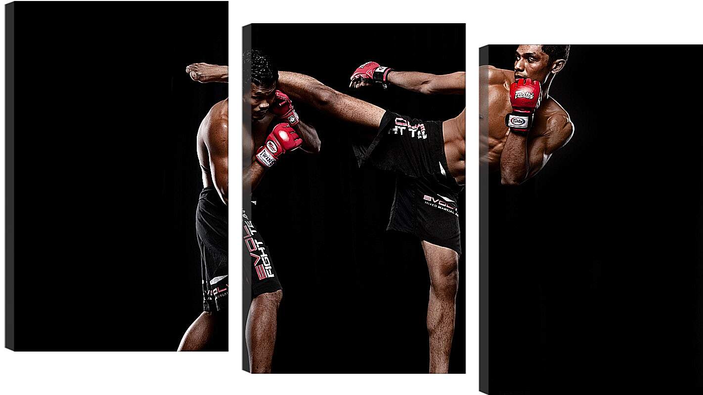 Модульная картина - UFC. MMA. Удар ногой.