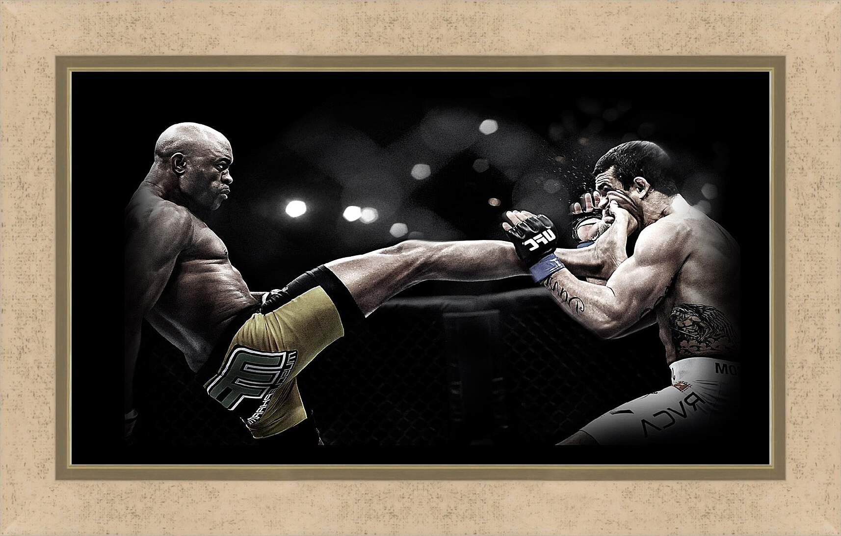 Картина в раме - UFC. MMA. Андерсон Сильва.