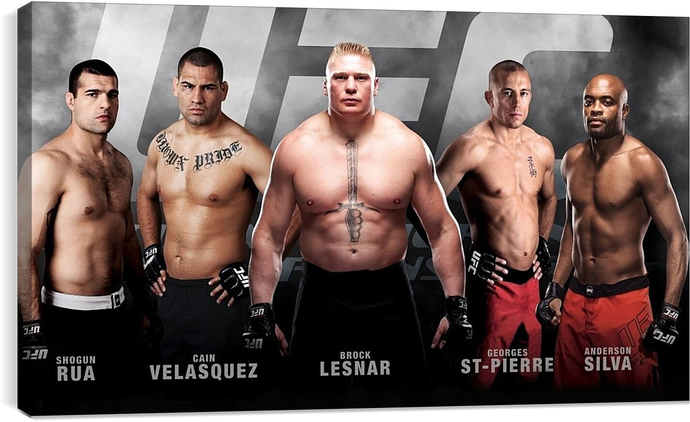 Постер и плакат - UFC. MMA. Брок Леснар.
