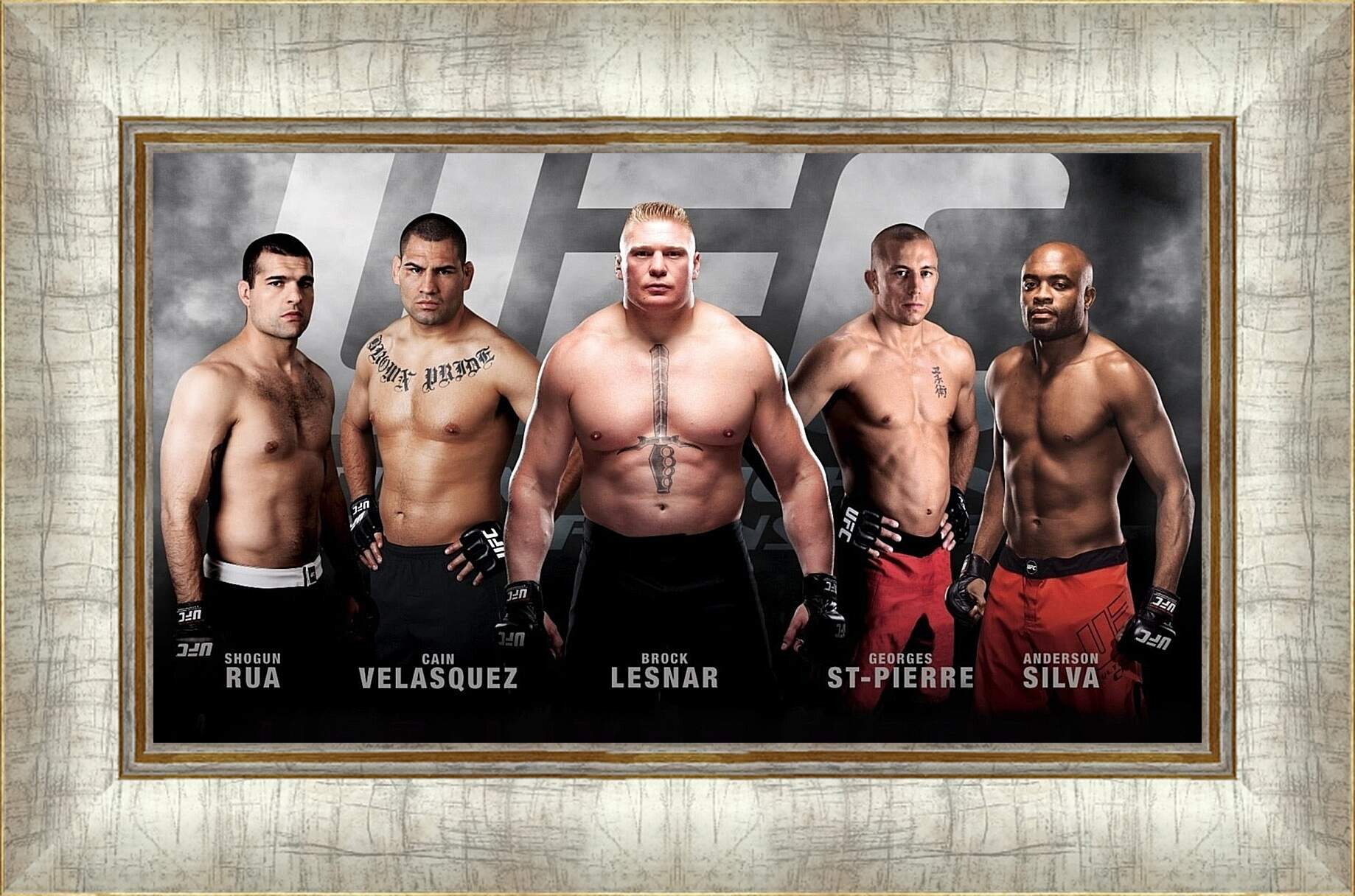 Картина в раме - UFC. MMA. Брок Леснар.