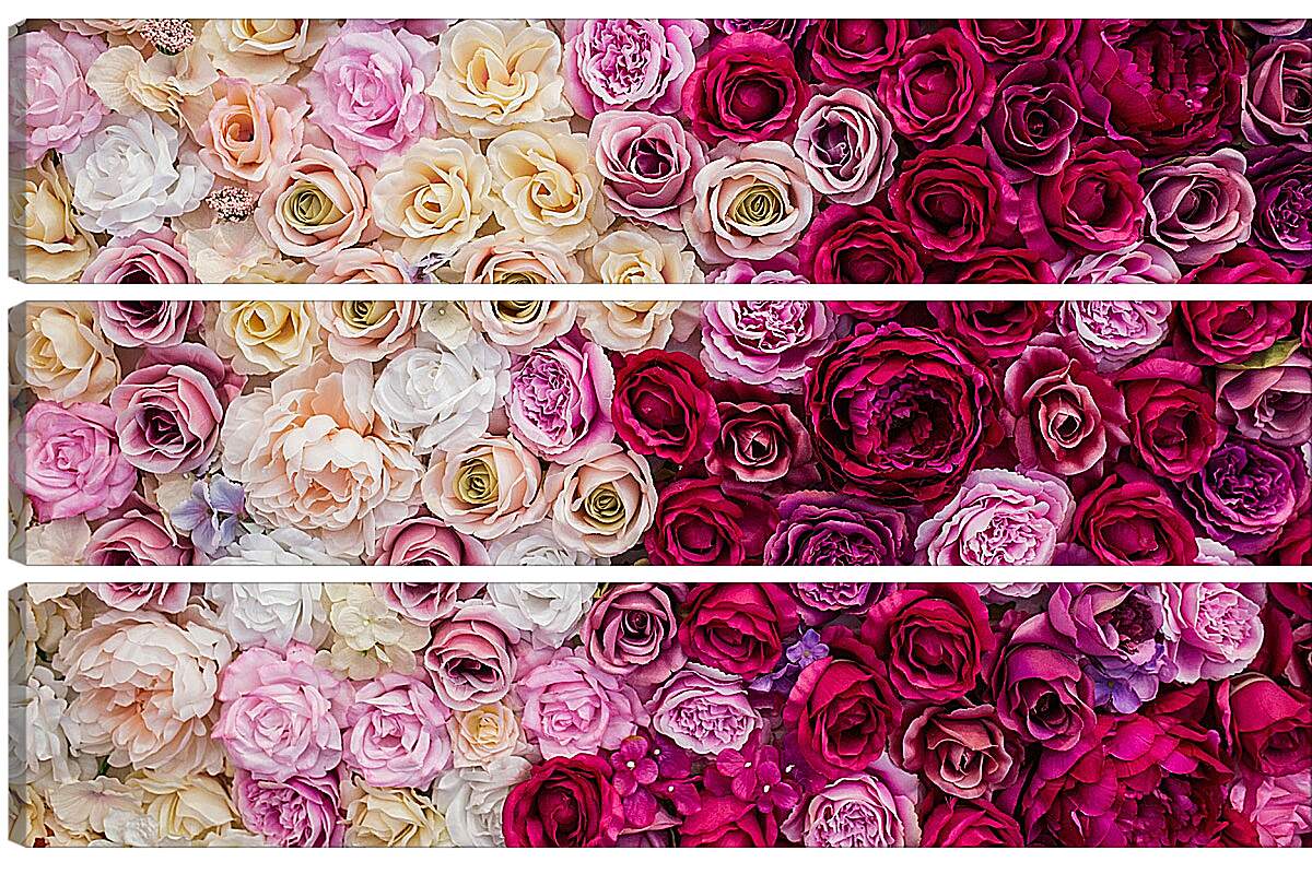 Модульная картина - Разные розы. Цветы.