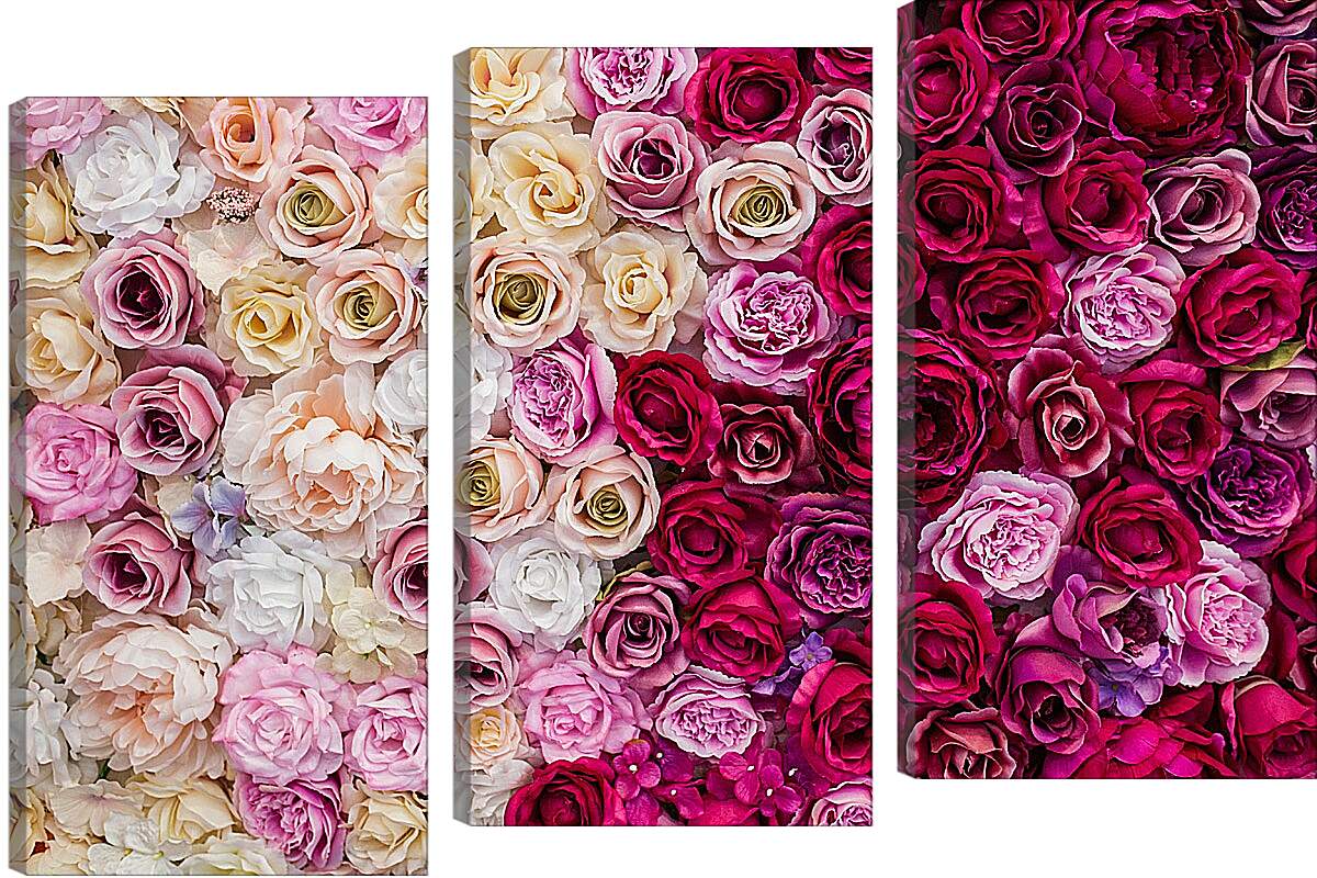 Модульная картина - Разные розы. Цветы.
