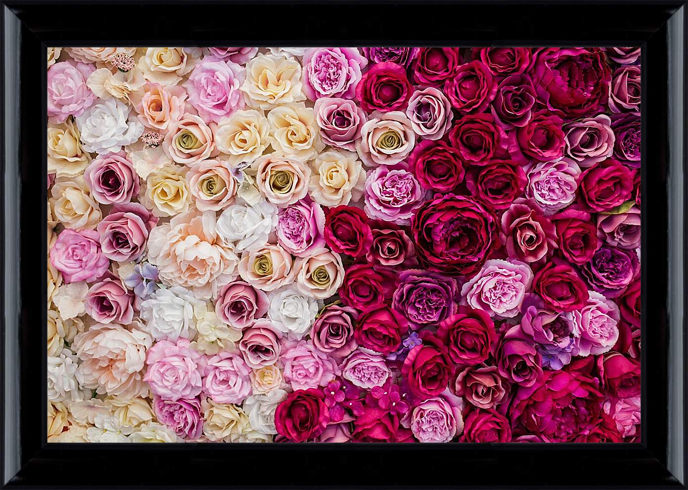 Картина в раме - Разные розы. Цветы.