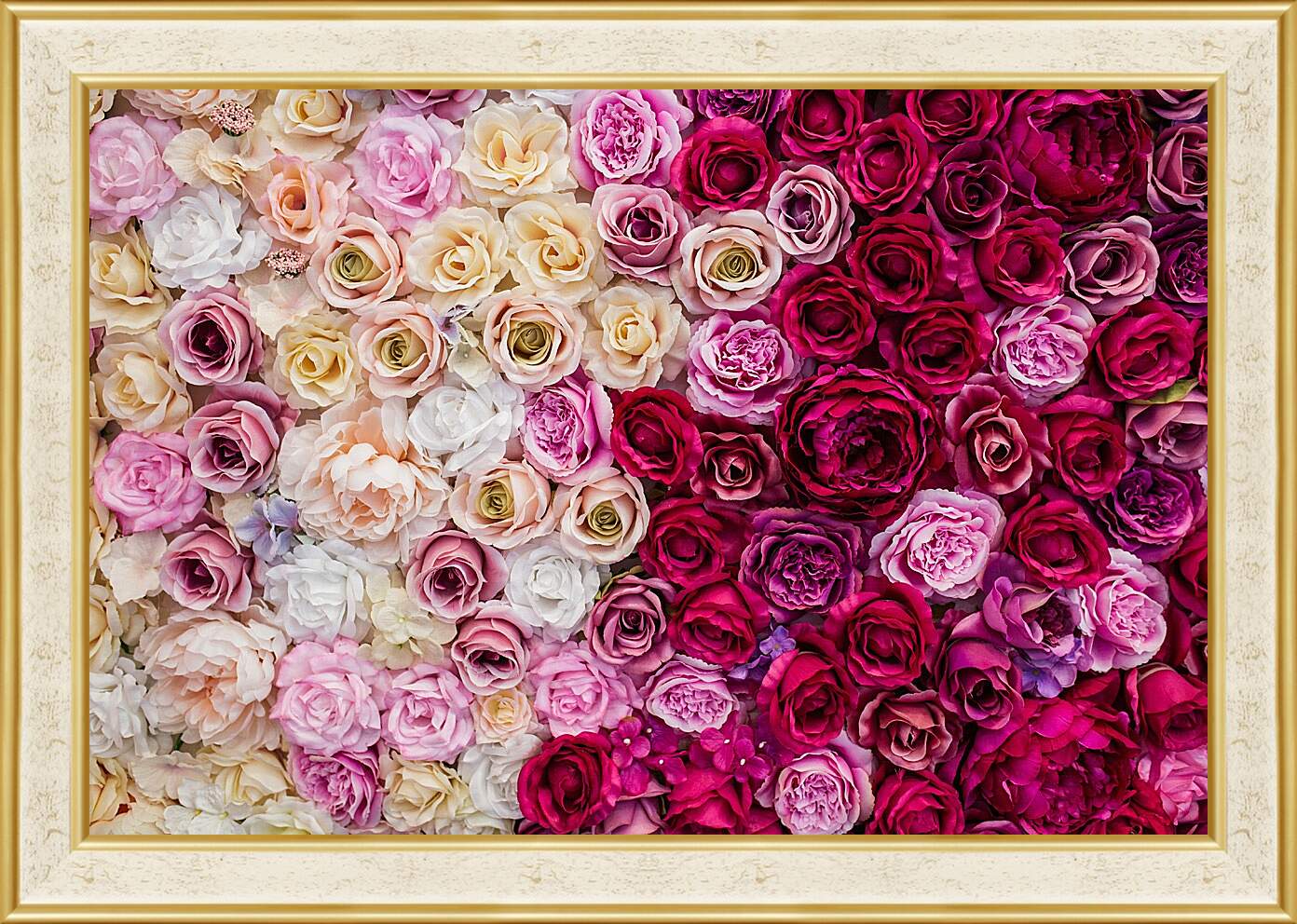 Картина в раме - Разные розы. Цветы.
