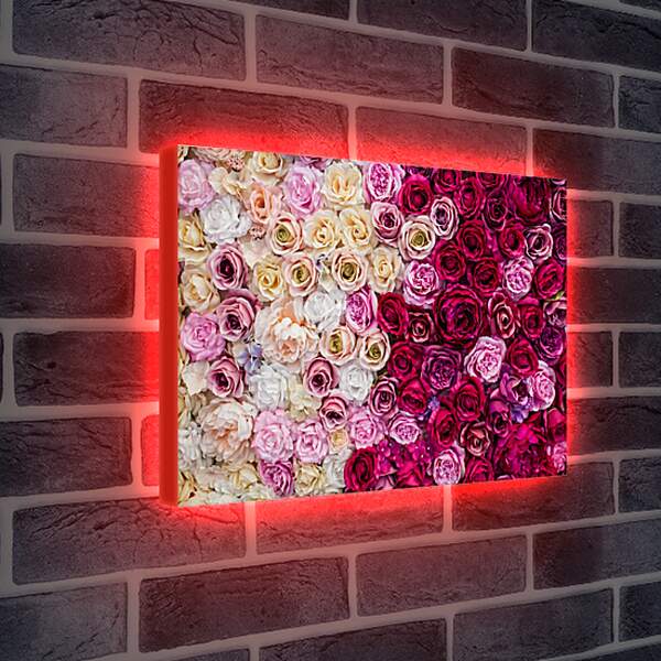 Лайтбокс световая панель - Разные розы. Цветы.